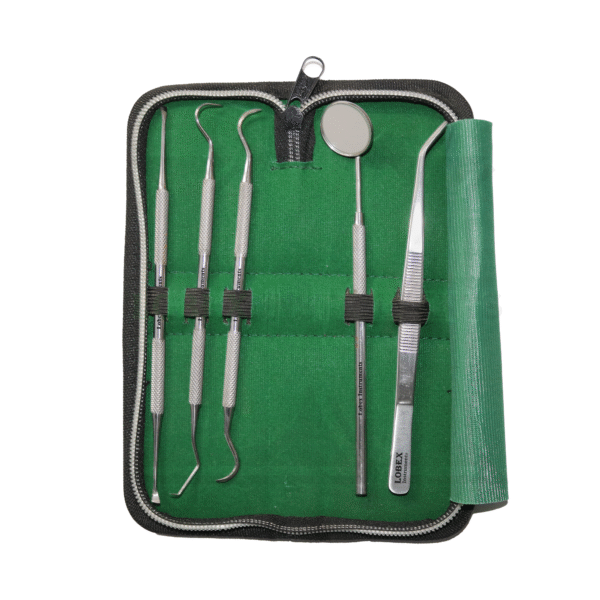 Dental examination kit