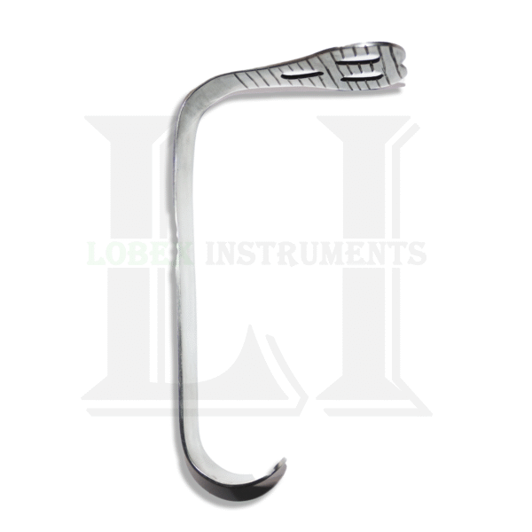 weider cheek retractor